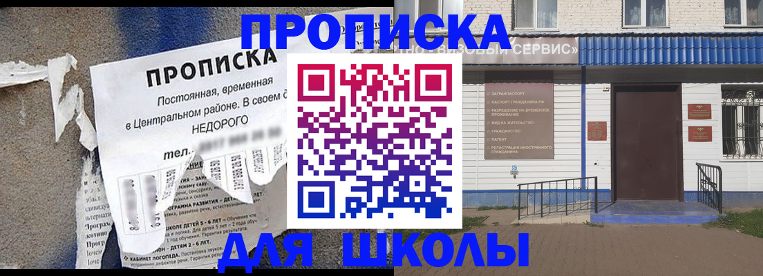 прописка 2025 в Светогорске